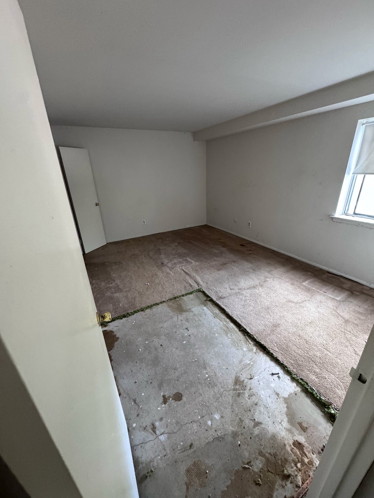 Empty room under construction with concrete subfloor, white walls, window, and open doorway