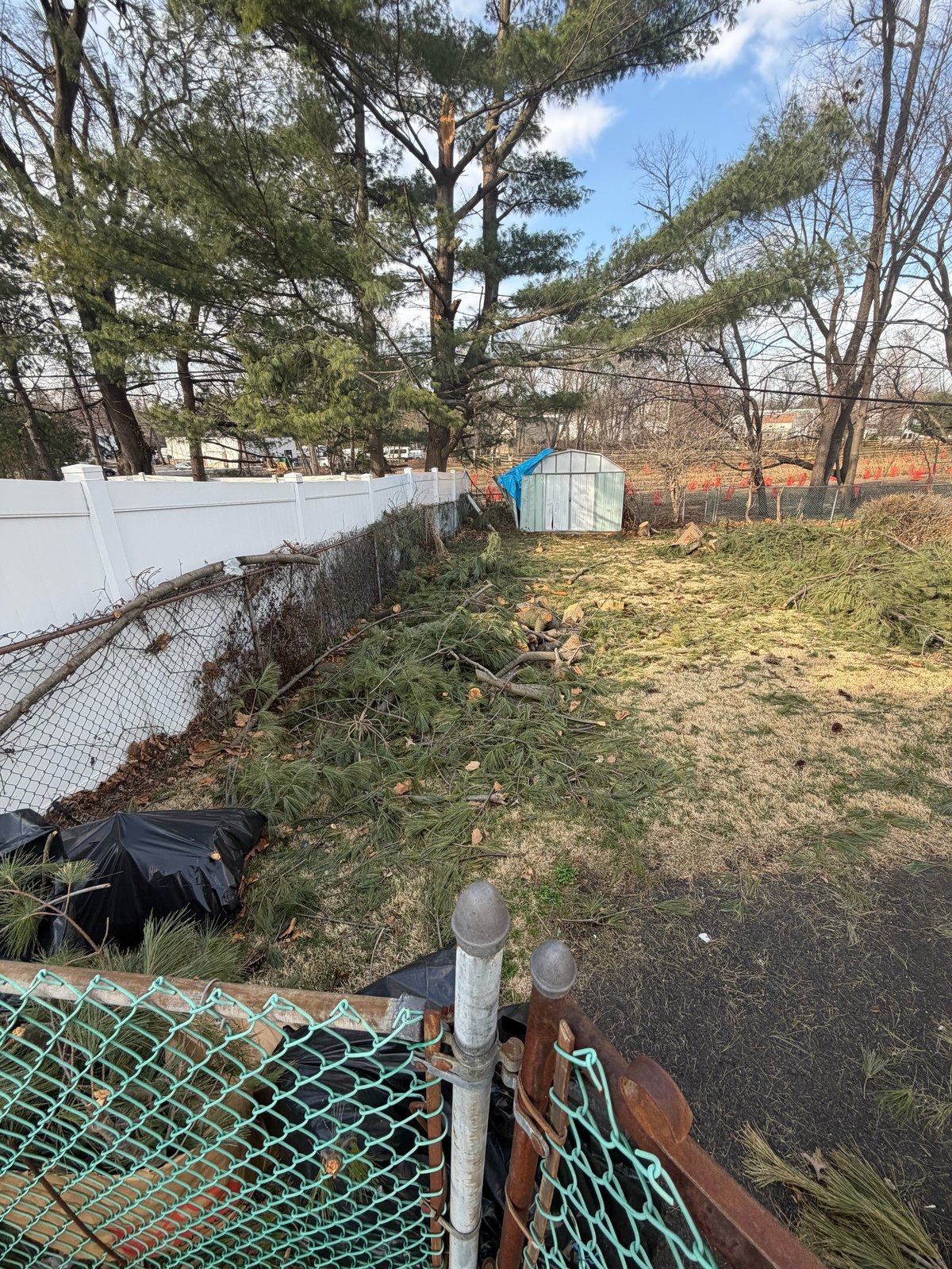 Backyard with fenced areas, green mesh netting, blue storage shed, mature trees, and patches of grass and mulch